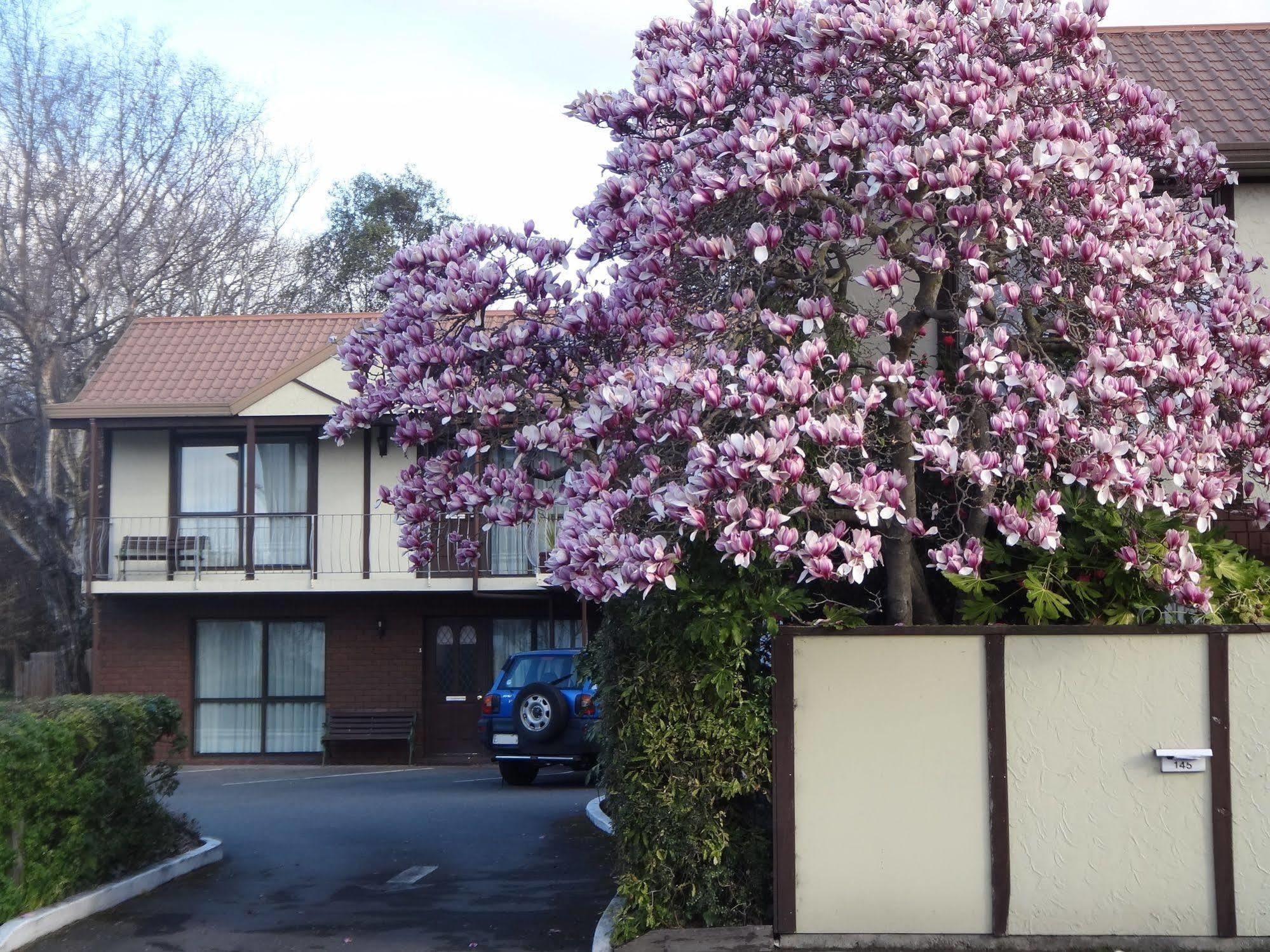 Argyle On The Park Christchurch Exterior foto